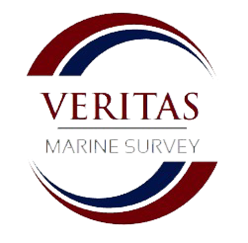 Veritas-Logo-w